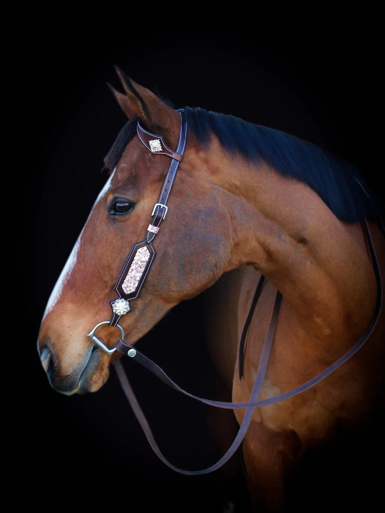 English Horse Bits: Understanding Their Different Types and Uses
