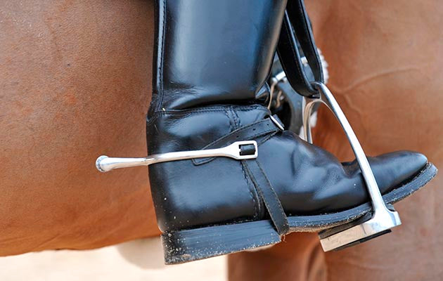 The Controversial Use of Artificial Aids in Horse Riding: A Look at the Pros and Cons