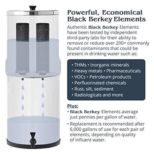 Royal Berkey Gravity-Fed Water Filter System 3.25 Gallon with 2 Black Berkey Elements, 2 Berkey PF-2 Fluoride and Arsenic Reduction Elements