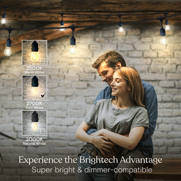 Brightech Ambience Pro - Waterproof LED Outdoor String Lights - Hanging, Dimmable 2W Vintage Edison Bulbs - 48 Ft Commercial Grade Patio Lights Create Cafe Ambience In Your Backyard