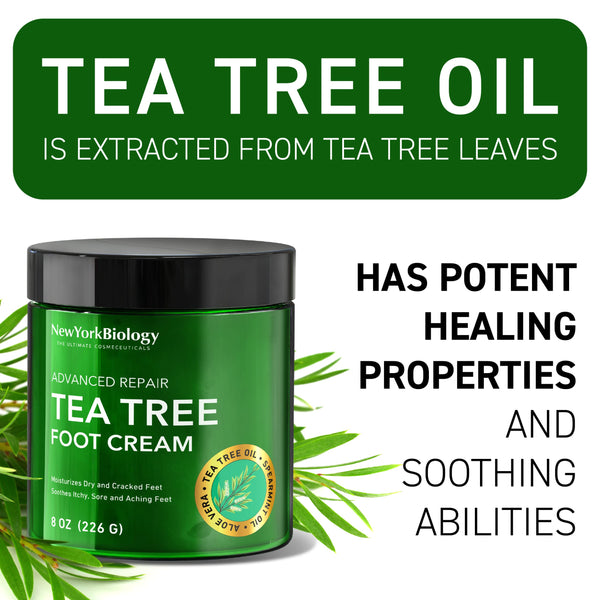 New York Biology Tea Tree Oil Foot Cream for Dry Cracked Feet, Athletes Foot, Nail Fungus, Jock Itch, Ringworm, Cracked Heels and Itchy Skin - Foot Cream - 8 oz