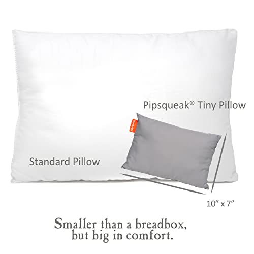 Urban Infant Pipsqueak Small Pillow - Mini 11 x 7 in - Tiny Pillow for Travel, Dogs, Toddlers, Kids, Lumbar, Knees and Neck - Gray