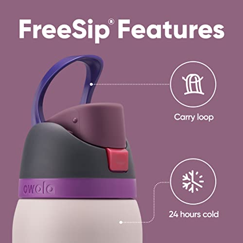 Owala FreeSip Insulated Stainless Steel Water Bottle with Straw for Sports and Travel, BPA-Free, 24oz, Dreamy Field