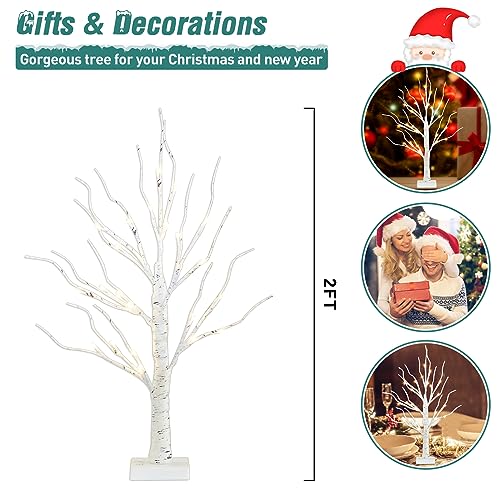 PEIDUO Christmas Decor, 2FT Birch Tree with LED Lights, Warm White Artificial Tree Lamp, Fairy Light Spirit Tree for Xmas Home Indoor Tabletop Centerpiece Decorations, Battery Powered, 6H/18H Timer