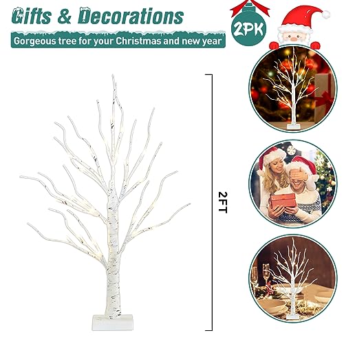 PEIDUO Christmas Decorations, 2FT Birch Tree with LED Lights, Warm White Light up Tree Lamp, Fairy Light Spirit Tree for Xmas Indoor Home Table Fireplace Decor, Battery Powered, 6H/18H Timer (2PK)