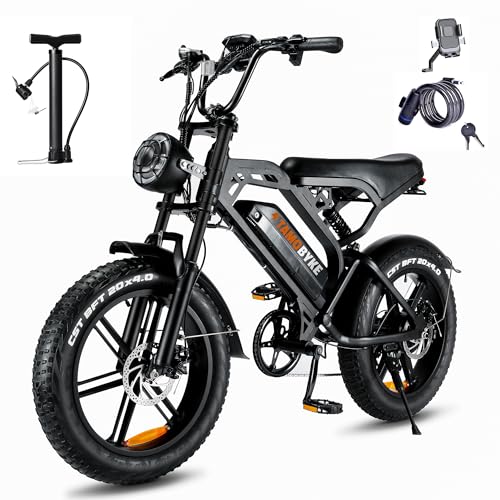 Tamobyke V20 Electric Bike, 750W/48V 15ah Lithuim Battery Ebike, 20'' Offroad Tire Mountain Electric Bike, 27-28mph Top Speed, Color Display, Throttle & Pedal Assist.